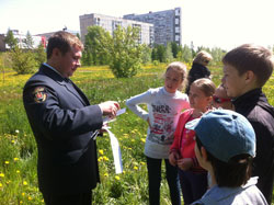 Команда отгадывает слова-анаграммы, связанные с растительным миром Красноярского края