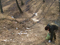 Субботники, уборки и экологические десанты регулярно проводятся на памятнике природы Родник в районе Академгородка