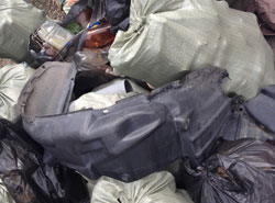 Всего было собрано более 10 пятидесятилитровых мешков мусора.