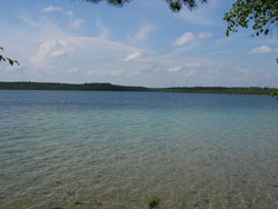 Озеро является домом для огромного количества водоплавающих птиц и обладает огромной экологической ценностью.