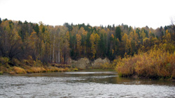 На территории заказника «Больше-Кемчугский в бассейне одноименной реки были сделаны важные палеонтологические находки
