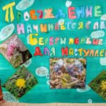 Плакаты для акции Первоцветы от Новоселовской СОШ №5