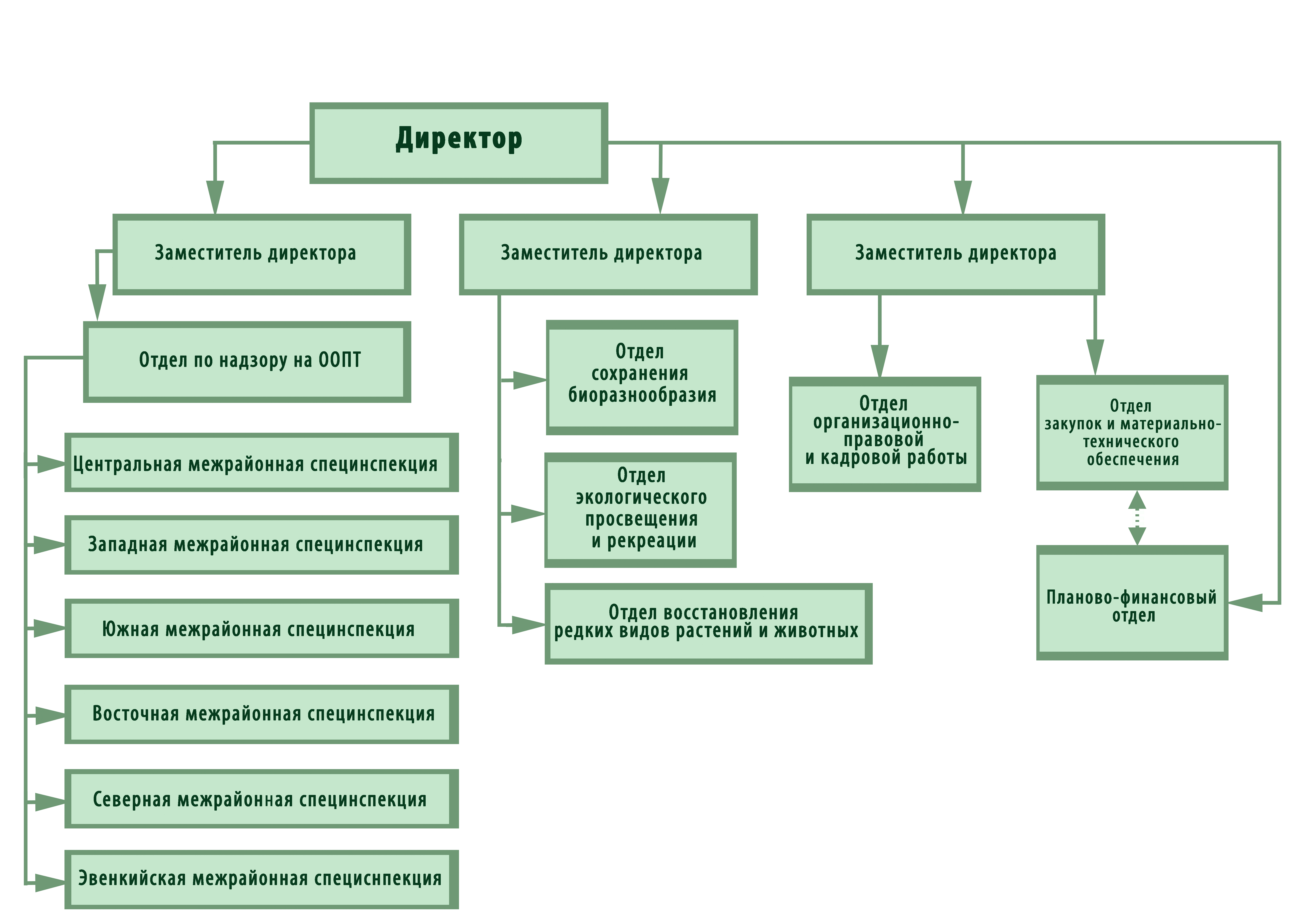 Структура Дирекции по ООПТ